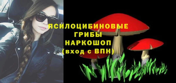 jwh Бородино