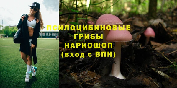 jwh Бородино