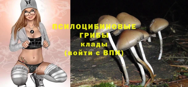 дмт Бугульма